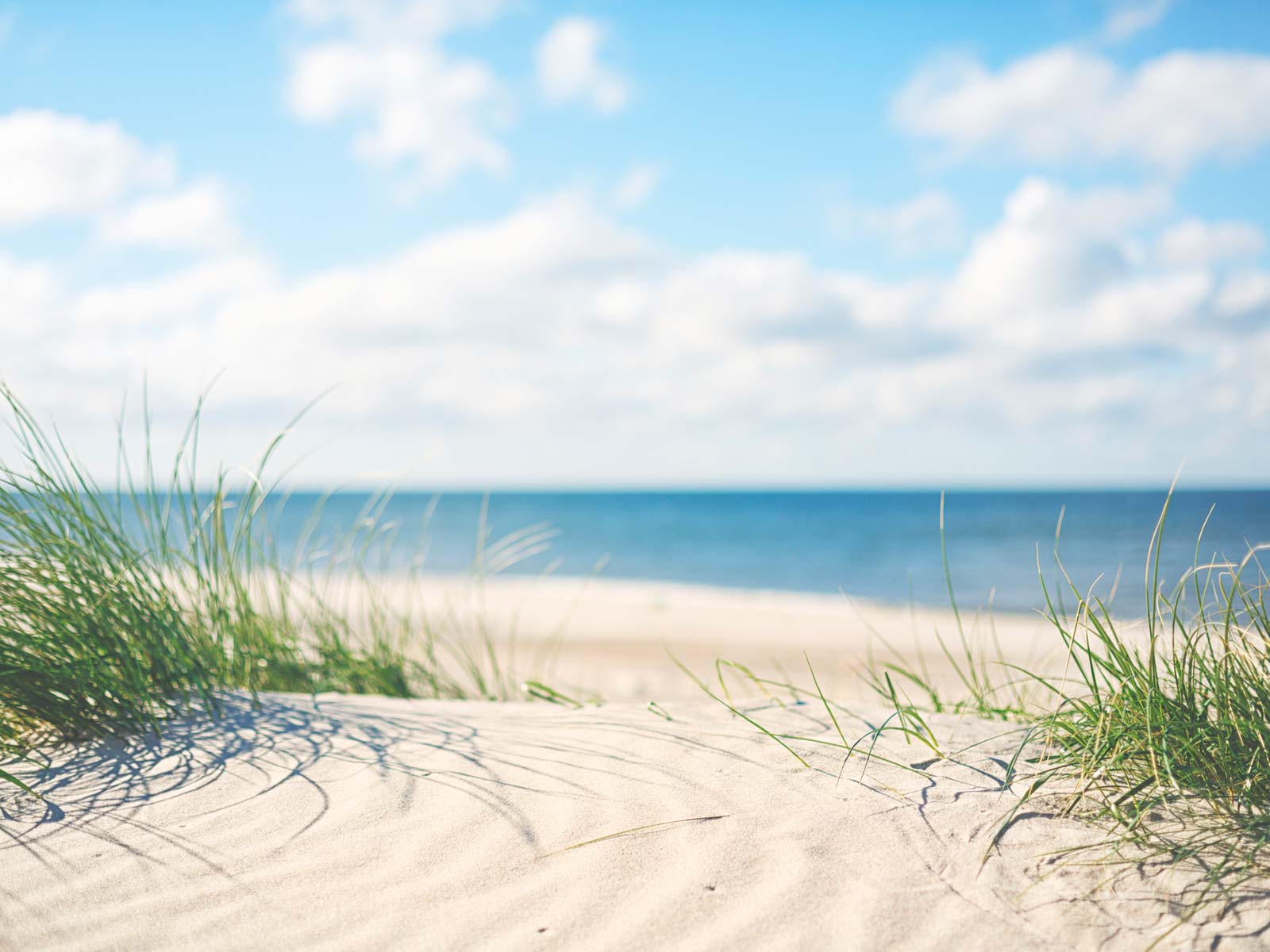 Heller Sandstrand mit Dünengras im Vordergrund und Blick auf das ruhige, blaue Meer unter leicht bewölktem Himmel. Die Szene wirkt friedlich und einladend – ideal für einen Sommertag am Strand.