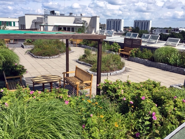 Blick auf eine großzügige Dachterrasse mit Gartenbereich, Sitzgelegenheiten und bepflanzten Hochbeeten. Im Hintergrund sind moderne Gebäude und ein blauer Himmel mit einigen Wolken zu sehen – die Szene wirkt gepflegt und einladend.