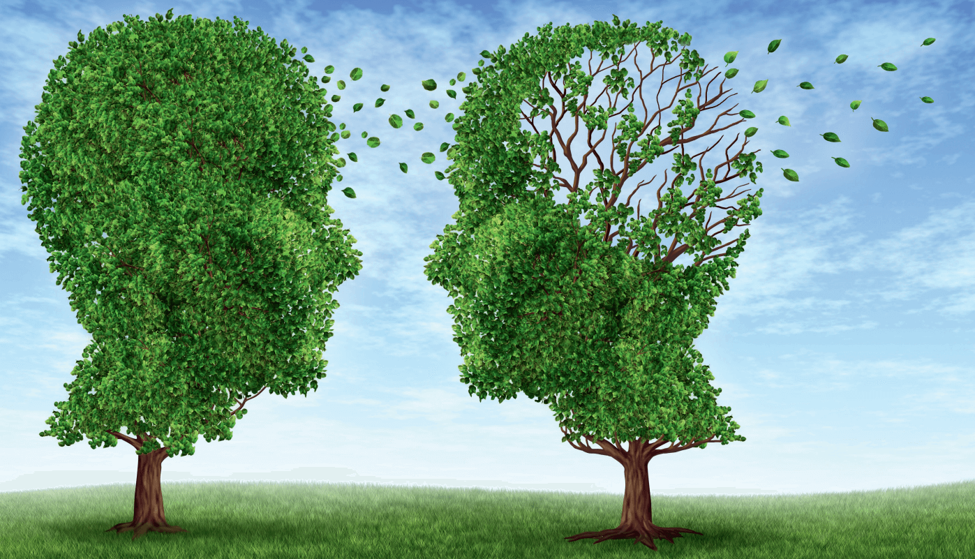 Zwei Bäume in Form menschlicher Köpfe stehen sich gegenüber. Vom voll belaubten Kopf-Baum auf der linken Seite fliegen Blätter zum rechten Kopf-Baum, der bereits teilweise kahl ist. Die Szene symbolisiert Gedächtnisverlust, Demenz oder den Transfer von Wi